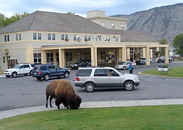 Hot Springs Hotel